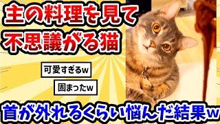 【2ch動物スレ】主の料理を見て不思議がる猫 → 首が外れるくらい悩んだ結果www