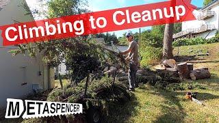 Tall Spruce Removal - Solo Climbing to Cleanup