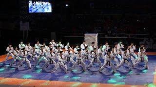 2018 제주 한마당 Jeju World Taekwondo Hanmadang，Opening Ceremony，Kukkiwon Demonstration Team 국기원，国技院