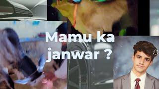 Mamu ka janwar la liya?#cow #Shuraim Abid hussain