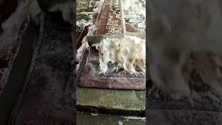 asmr scraping  #satisfying  #asmr #carpetcleganin