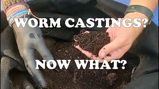 3 Easy Ways to Sift, Store & Use Compost Worm Castings From Your Worm Bins | Vermicompost Worm Farm