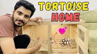 Sulcata Tortoise ky liay Cage bnwa lia   #tortoise #vlog #petsvlog #animals #reptiles