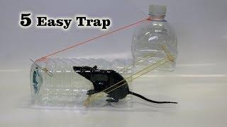 5 Easy Mouse/Rat Trap