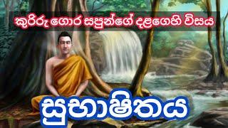 සුභාෂිතය | කුරිරු ගොර සපුන්ගේ දළගෙහි විසය | කවි තේරුම