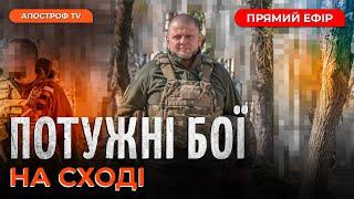 КРИВАВІ БОЇ НА СХОДІ ЗБРОЯ ВІД ПОЛЬЩІ ТА США"БАВОВНА" НА ОКУПОВАНИХ ТЕРИТОРІЯХ КВІТНЕ