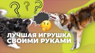 Делаем ЛУЧШУЮ игрушку для собаки СВОИМИ РУКАМИ!  Как сделать канат для щенка из флисового пледа? 