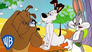 Looney Tuesdays | Looney Dogs  | Looney Tunes | @WB Kids