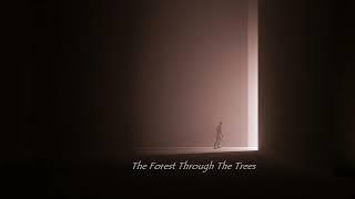 Sean Ferree - The Forest Through The Trees