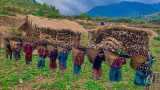 Remote Rural village life in Nepal| Traditional Nepali village life| Primitive Rural village life