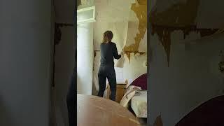 покупка старой дачи/начинаем ремонт с нуля #дачныеистории