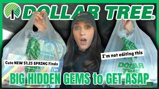 $78.90 HUGE DOLLAR TREE HAUL *New Must Haves* LOOK AT WHAT I GOT! (Car Haul)