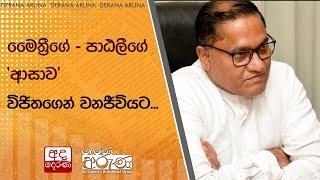 මෛත්‍රීගේ - පාඨලීගේ 'ආසාව' විජිතගෙන් වනජීවියට...