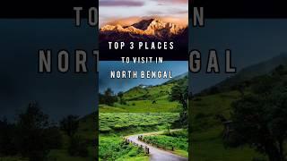 Offbeat places in North Bengal #travel #ytshorts  #viralshorts #travelvlog #darjeeling #kurseong