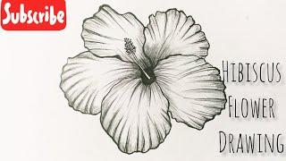 How To Draw A Hibiscus Flower Easy Step By Step