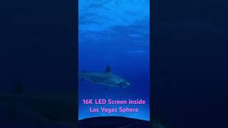 16K Immersive 3D LED Screen in Las Vegas Sphere #nseled #nseledcloud #nseledeurope