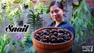 Cooking snails the most delicious food- Primitive natural world