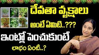 Ramaa Raavi : దేవతా వృక్షాలు | Darmasandehalu | Ramaa Raavi Latest Videos | SumanTV Anchor Jaya