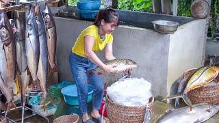 A Bumper Fish Harvest - Catch Many Fish At Fish Pond Goes To Market Sell