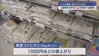 米の価格の高止まりが続く、主食用米の作付け増を検討する農家も【新潟】スーパーJにいがた12月18日OA