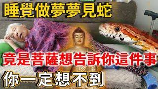 睡覺做夢夢見蛇，竟是菩薩想告訴你這件事！你一定想不到！ |禪語