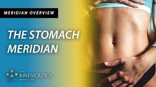 The Stomach Meridian | Meridian Overviews