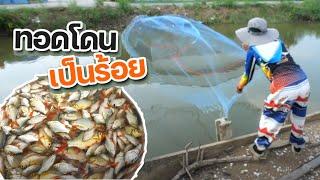 ทอดแหในคลอง เจอแบบนี้ สงสารย่าเลย | เด็กตกปลา