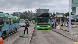 [新路線]九巴287 YT7813 大學站-錦龍苑