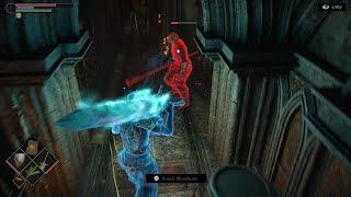 Demon's Souls Summon kills host glitch lol