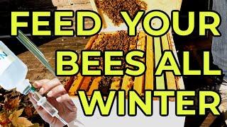 Beekeeping | How To Feed Your Bees ALL Winter Long