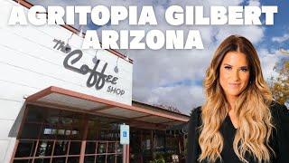 Under 500K in Agritopia Gilbert, Arizona