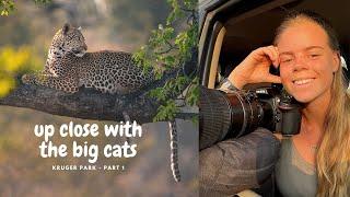 9 Days Safari In Kruger National Park - Part 1