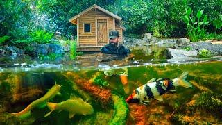 Building NEW FISH POND with NATURAL STREAM in my Backyard | Underwater exploration