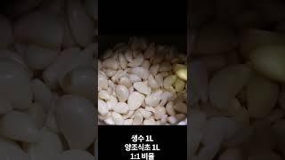깐마늘장아찌는 '이렇게' 담그세요! 1년 내내 맛있게 먹습니다