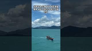 소금 나트륨