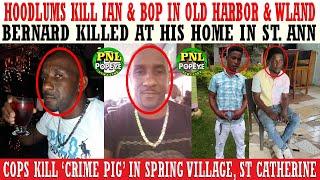 Hoodlums KlLL Bop In G-Hill & Ian In Bartons + Cops KlLL Crime Pig + Bernard KlLLED At His Home