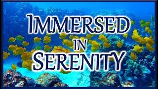 “Immersed in Serenity” 4k Ocean scenes, Relaxing Music for Meditation, Study and Sleep