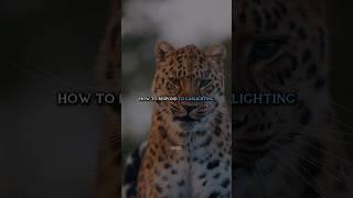 Learn this Life-Lesson in 1 minute. #discipline #mindset #motivation #success #motivationalvideo