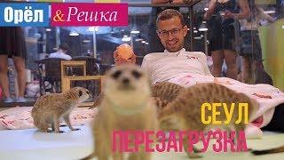 Орел и решка. Перезагрузка - Сеул | Южная Корея (1080p HD)