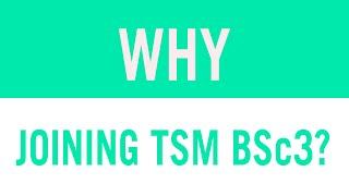 Why join the third year of Bachelor Science in Global Management at TSM?