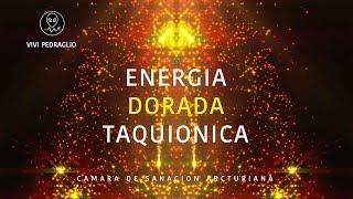 ️ TAQUIONIC GOLDEN ENERGY  ARCTURIAN HEALING CHAMBER | Vivi Pedraglio