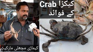 Crab | کیکڑا کے فوائد | Sans ki Bemari Ke Lye | Kemari fish Market | Pakistan Tv |