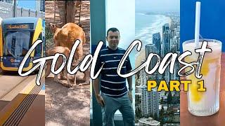 The beginning of my Gold Coast experience, Q1 Resort and Spa, and Currumbin Wildlife Sanctuary