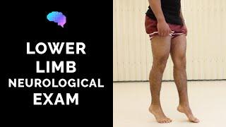 Lower Limb Neurological Examination - OSCE guide (old version) | UKMLA | CPSA | PLAB 2