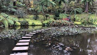 Terra Nostra Garden, Furnas, São Miguel, The Azores