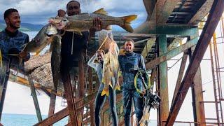 DANGEROUS OIL RIG IN SEARCH OF GIANT SEA MONSTER