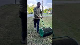 Lawn Renovation | Overseed  #lawn #lawnrenovation #lawncare