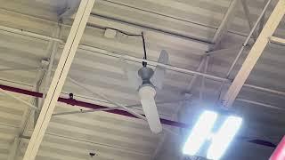 TAT Industrial/Commercial Ceiling Fans In Gymnasium