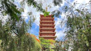 The most beautiful temple in Vietnam