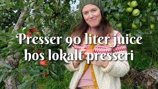 Presser 90 liter juice hos lokalt presseri